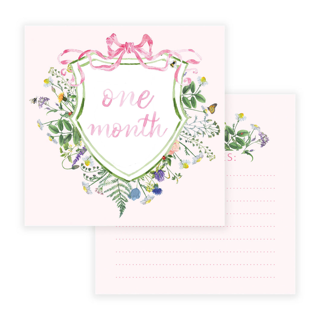 BABY GIRL MILESTONE CARDS