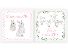 Load image into Gallery viewer, BABY GIRL MILESTONE CARDS
