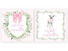 Load image into Gallery viewer, BABY GIRL MILESTONE CARDS
